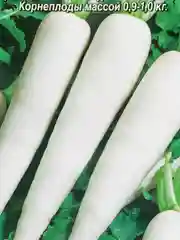 Дайкон японский длинный, семена, Аэлита
