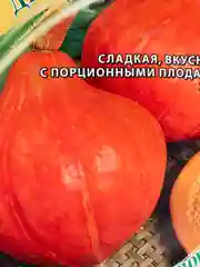 Семена Гавриш Тыква "Детвора"