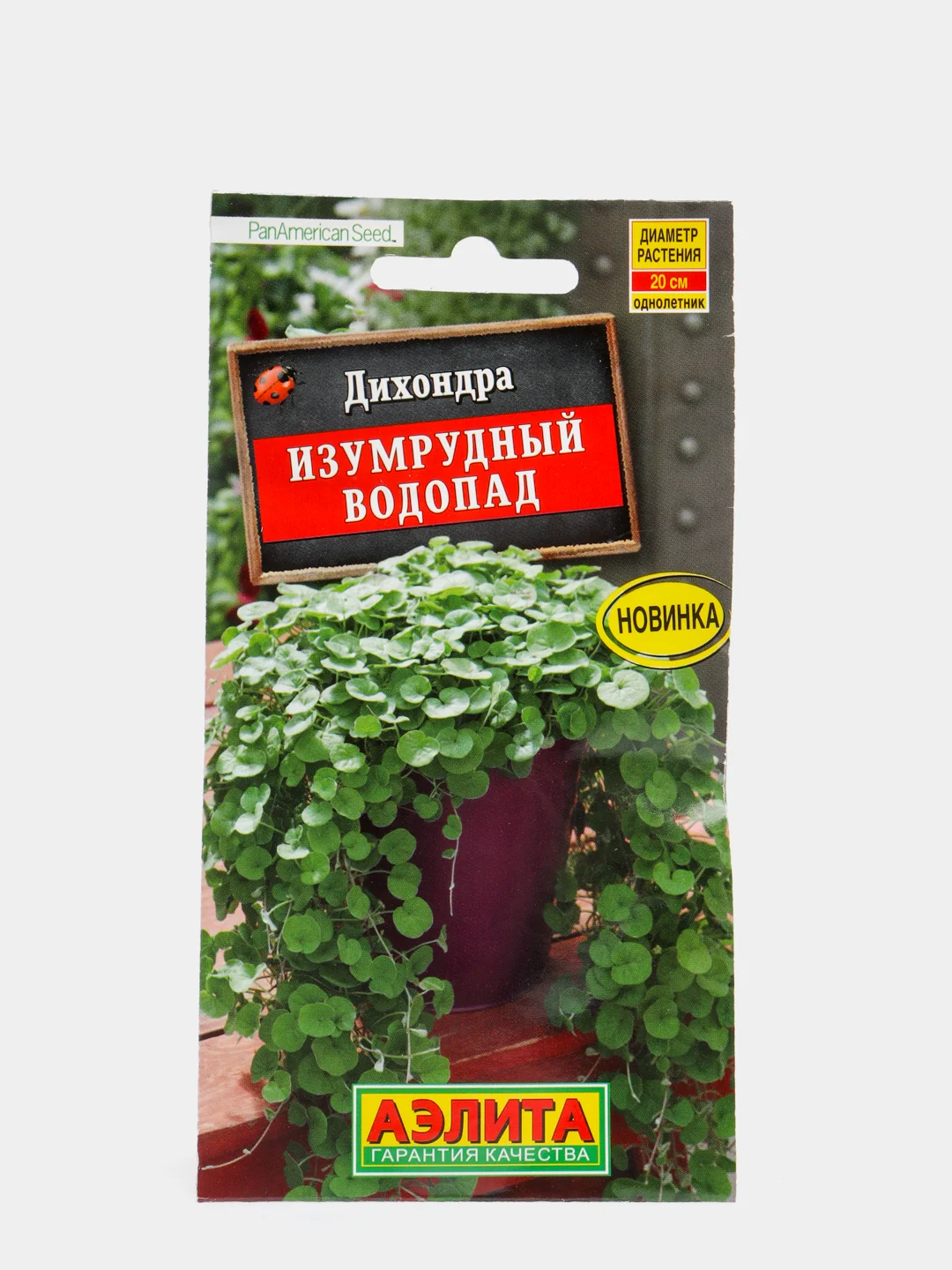 Семена Аэлита Дихондра "Изумрудный водопад"
