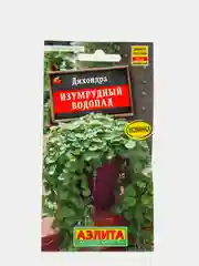Семена Аэлита Дихондра "Изумрудный водопад"