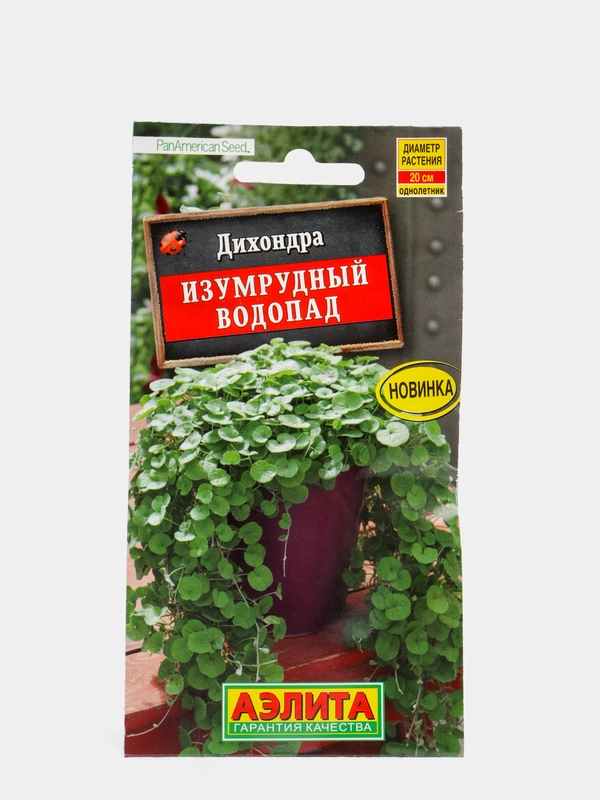 Семена Аэлита Дихондра "Изумрудный водопад"