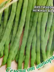 Семена Гавриш "Вигна Ниагара"