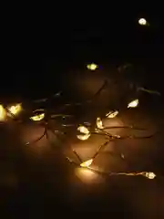 Белый светодиодная гирлянда на батарейках