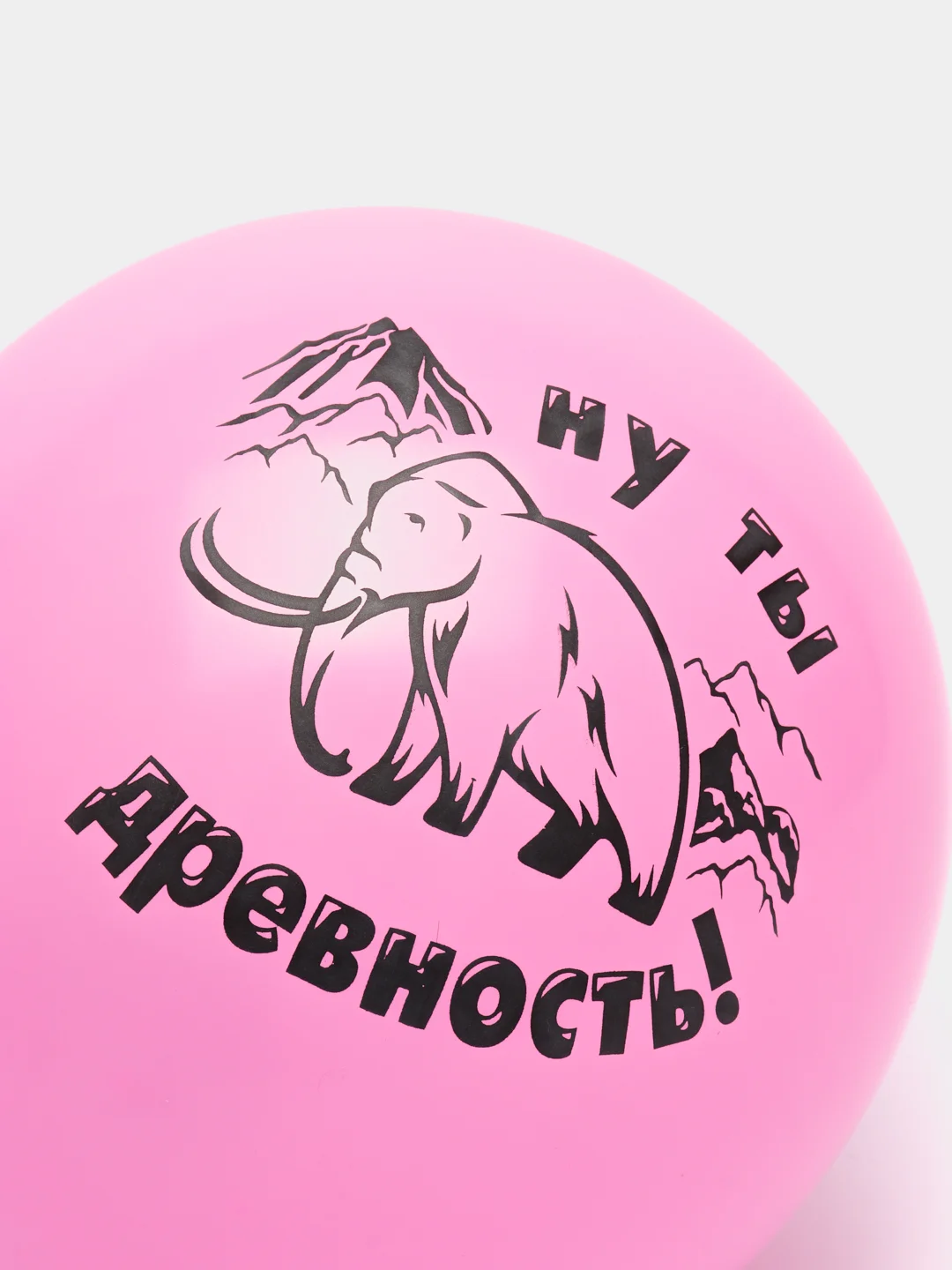 Шарики Оскорбления для неё с приколами Шуточные надписи Прикольные 5 штук