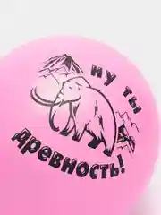 Шарики Оскорбления для неё с приколами Шуточные надписи Прикольные 5 штук