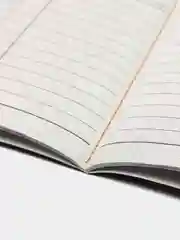 Трудовая книжка с голограммой