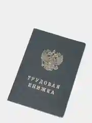 Трудовая книжка с голограммой