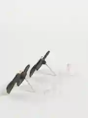 Черный женские серьги гвоздики бантики,черные и красные