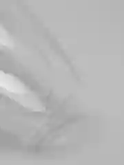 Стакан с двойными стенками