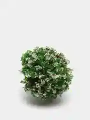 Зеленый цветочное дерево, сувенир