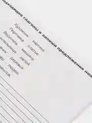 Книга "Тренажёр по русскому языку", 8+
