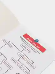 Книга "Тренажёр по русскому языку", 8+