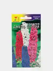Семена цветы "Будлея Смесь сортов"