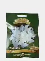 Грибы Ледяной гриб тремелла (семена)