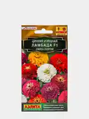 Семена цветов Цинния "Ламбада", смесь