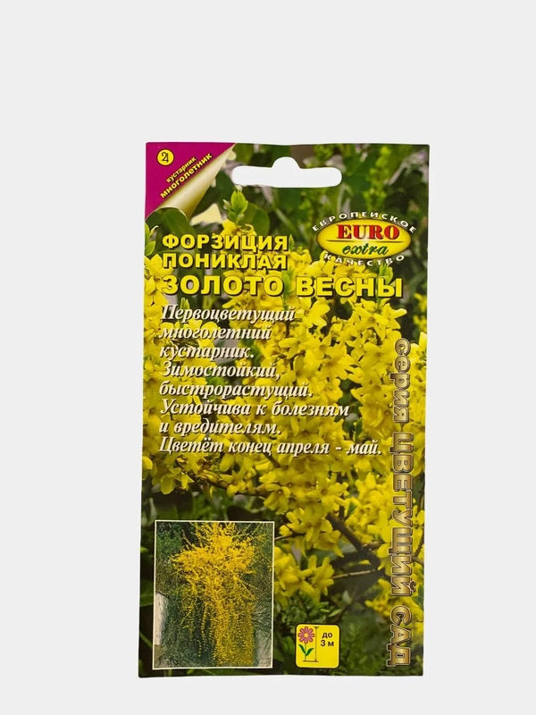 Семена цветов "Форзиция Золото весны"