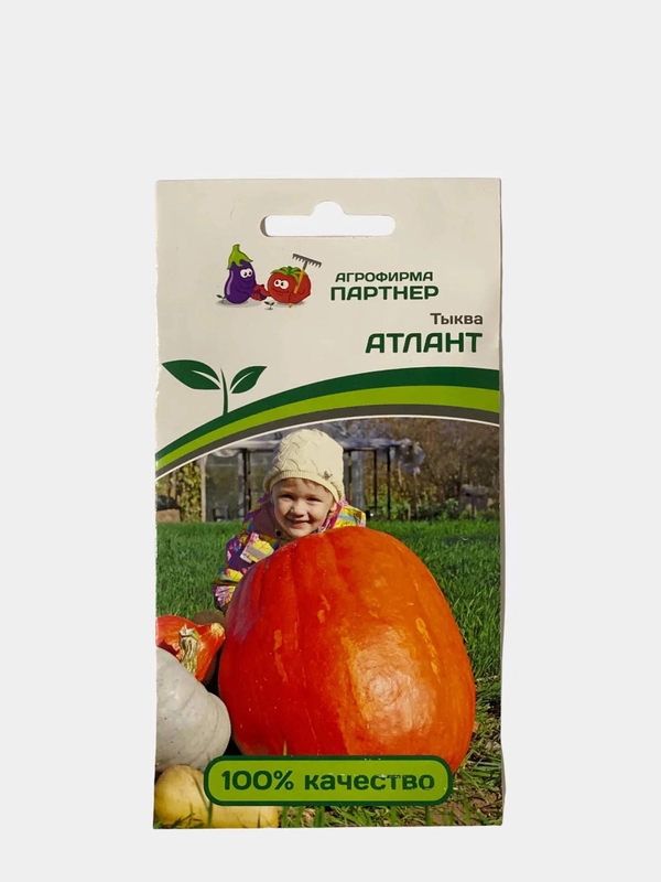 Семена партнер "Тыква Атлант"