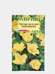 Энотера Пиноккио, семена, цветы