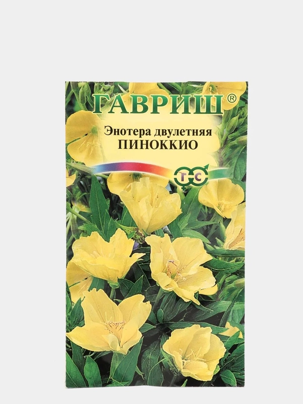 Энотера Пиноккио, семена, цветы