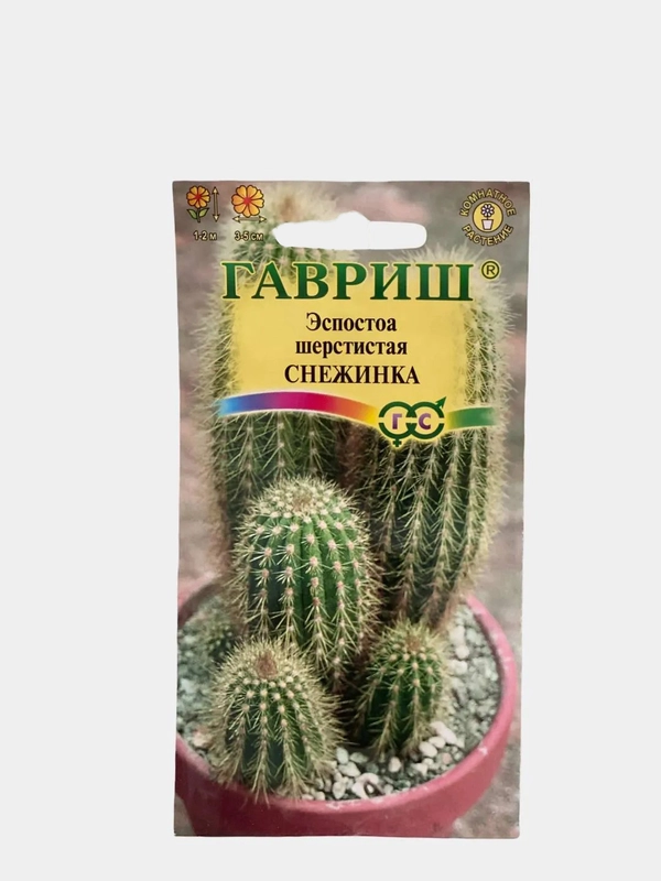 Кактус Эспостоа Снежинка (семена цветы)