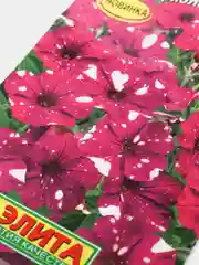 Петуния "Дот стар", темно-фиолетовая, семена, цветы