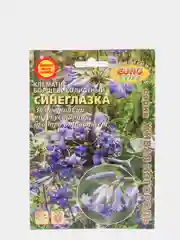 Клематис Синеглазка (семена,цветы)