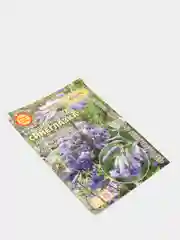 Клематис Синеглазка (семена,цветы)