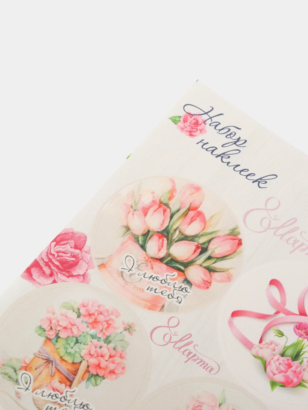 Коралловый наклейки для ежедневника