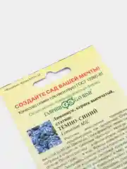 Кермек лимониум темно-синий (семена,цветы)