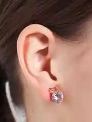 Серьги женские в стиле известного бренда