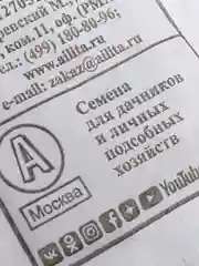 Семена "Кориандр кинза овощной"