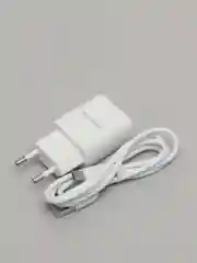 Зарядное устройство Borofone BA53A, 2 x USB, 1 m, Micro-USB / Type-C