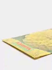 Цинния "Лайм", семена, цветы
