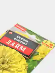 Цинния "Лайм", семена, цветы