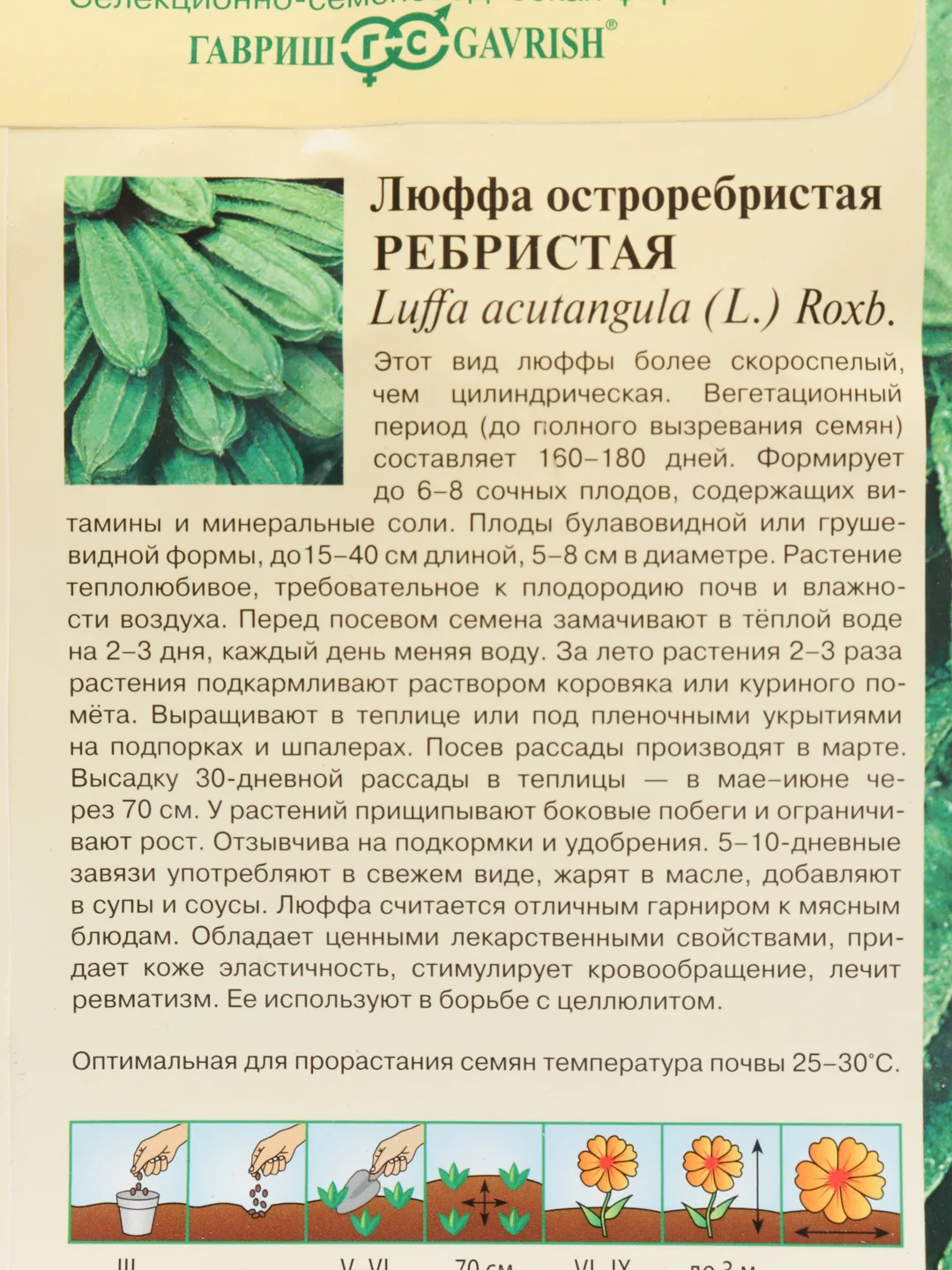 "Люффа ребристая" семена