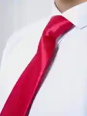 Бордовый галстук детский, на резинке