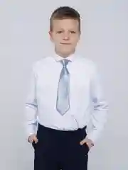 Серебряный галстук детский, на резинке