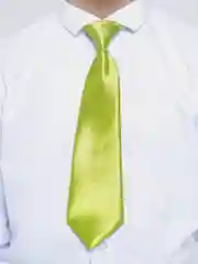 Лайм галстук детский, на резинке
