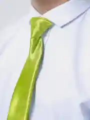 Лайм галстук детский, на резинке