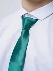 Тёмно-зелёный галстук детский, на резинке
