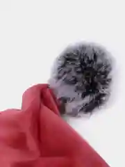 Красный толстовка с капюшоном для собак и кошек