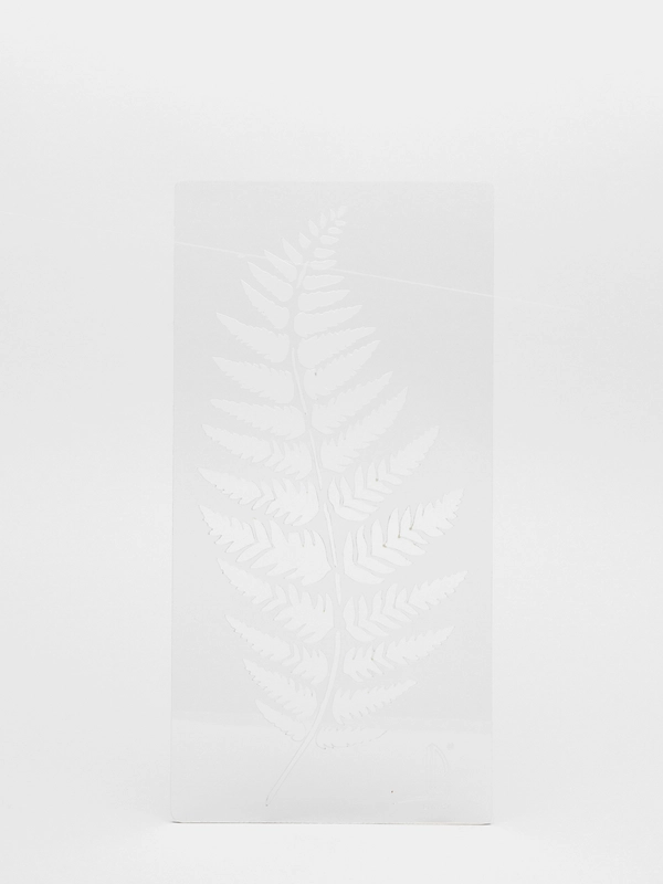 Трафарет пластиковый Luxart Template "Папоротник" 3, TR82, 30 х 15 см, толщина 1,5-2 мм