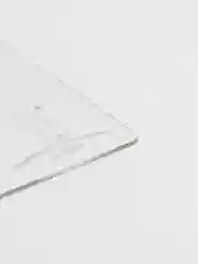 Трафарет пластиковый Luxart Template "Папоротник" 3, TR82, 30 х 15 см, толщина 1,5-2 мм