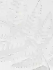 Трафарет пластиковый Luxart Template "Папоротник" 3, TR82, 30 х 15 см, толщина 1,5-2 мм