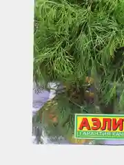 Семена Укроп "Летний хит"