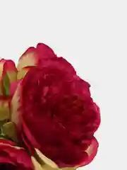 Вишнёвый искусственные цветы Королевские пионы 5 шт, растения, букет, зелень, для декора, для домао