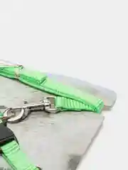 Зеленый шлейка с поводком для кошек и собак мелких и средних пород