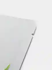 Лесной зеленый маски