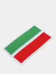 Нашивка-термонаклейка "Флаг Татарстана"