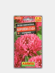 Астра "Королева Сада Малиновая", семена